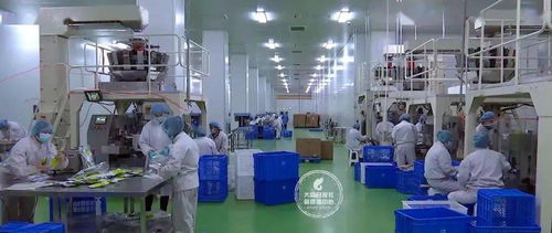 24小時無死角消毒，大同國際陸港嚴把進出口食品安全關