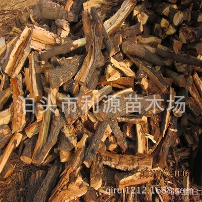 棗木雕刻與燒熏 烤鴨店優(yōu)質(zhì)材料的首選——泊頭市利源苗木場